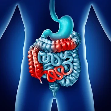 IBS & IBD Hypnotherapy IBS & IBD Hypnotherapy